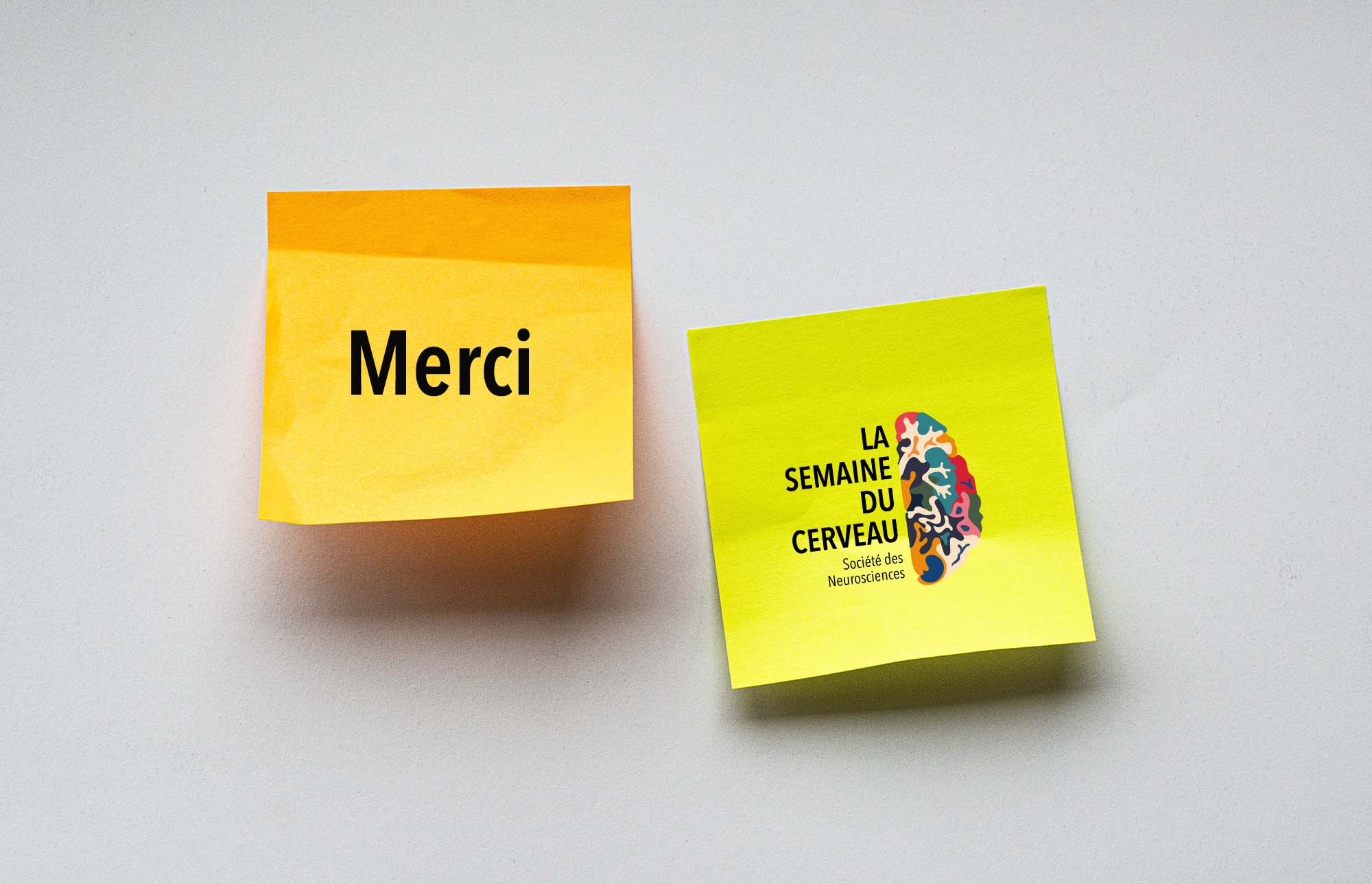 Merci