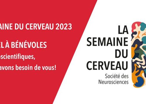 Appel à bénévoles Semaine du Cerveau 2023