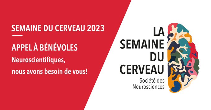 Appel à bénévoles Semaine du Cerveau 2023