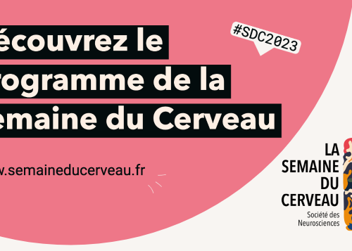 Programme Semaine du Cerveau 2023