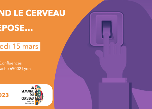 quand le cerveau se repose