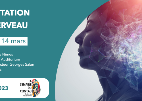Méditation et cerveau