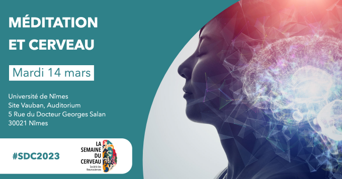 Méditation et cerveau