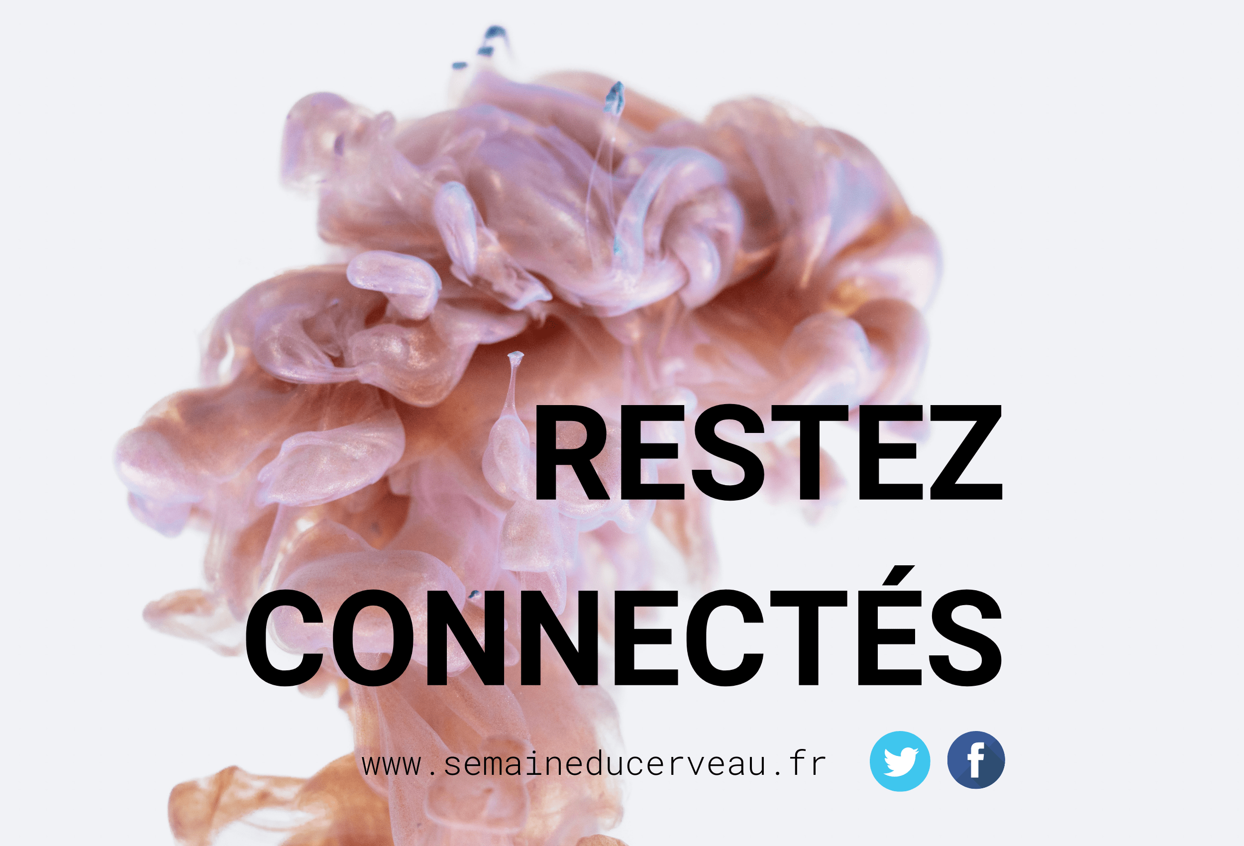 Restez connectés Semaine du Cerveau