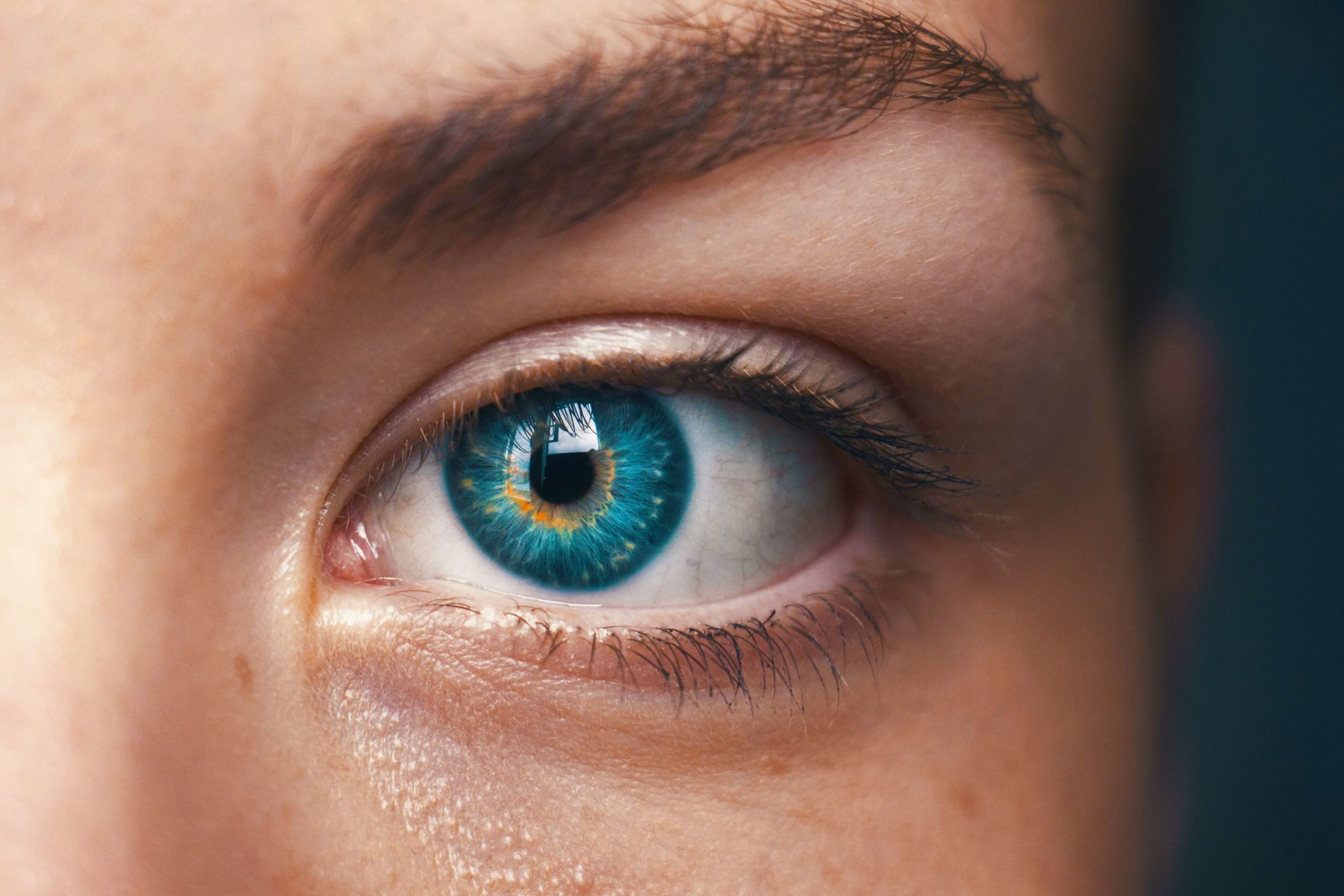 Intelligence artificielle cerveau