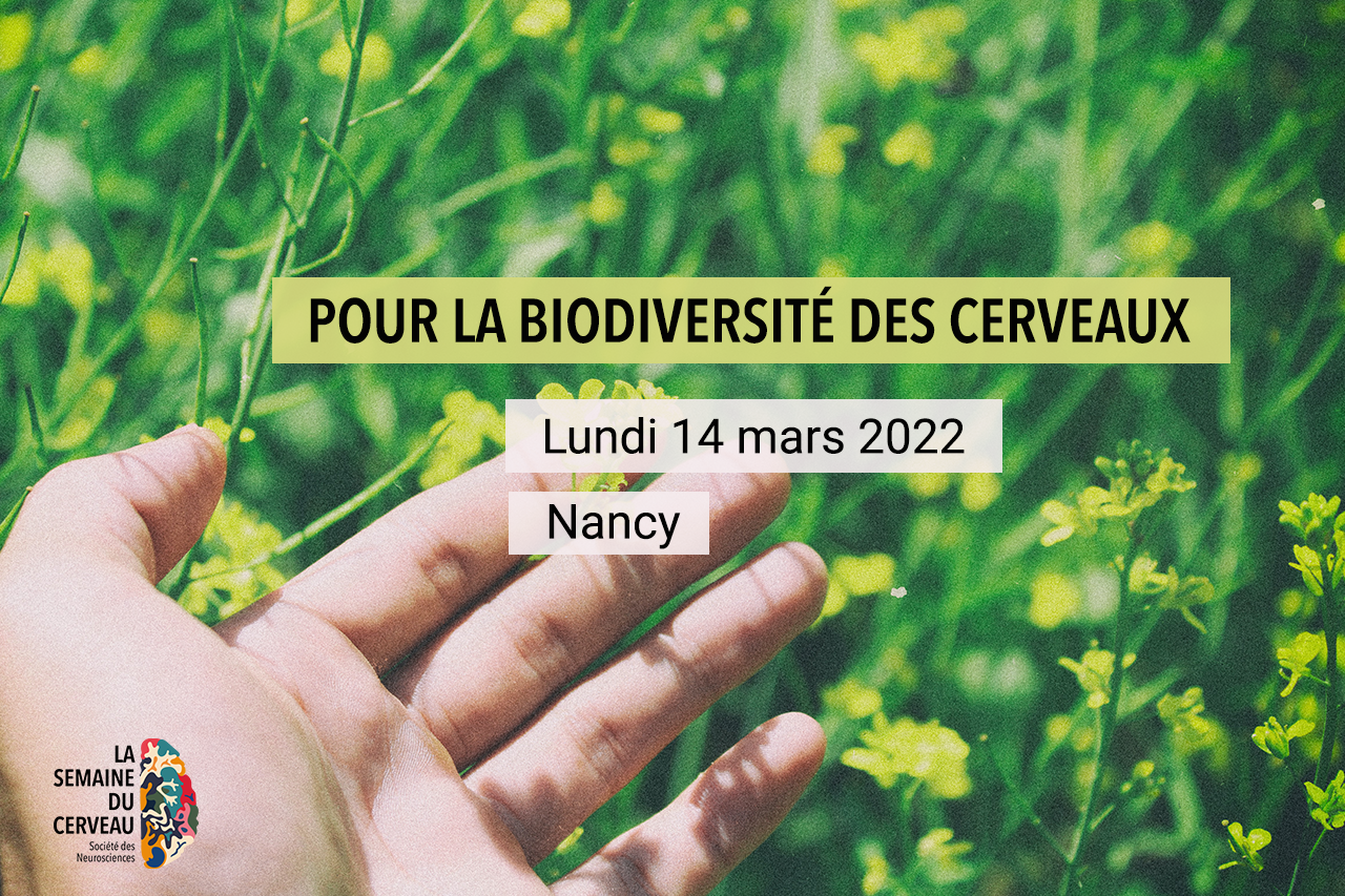 Pour la biodiversité des cerveaux