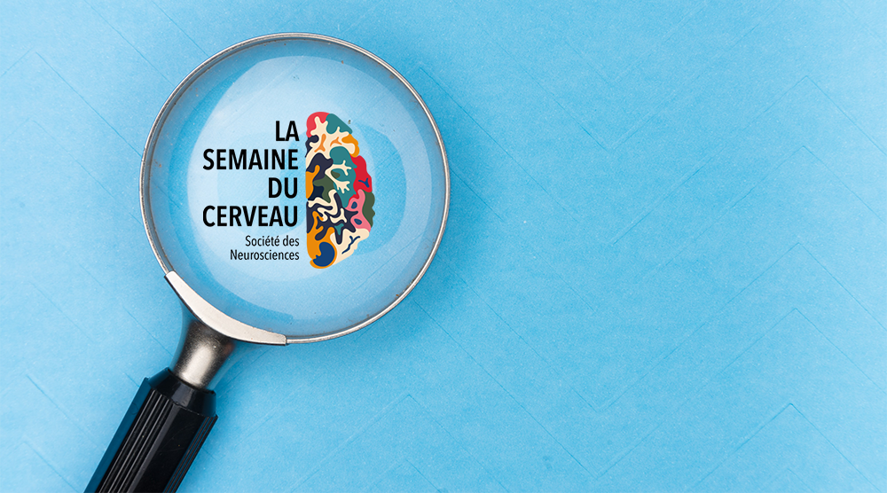mode d'emploi semaine du cerveau